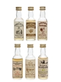 Blended Scotch Whisky 10 Year Old 6 x 5cl