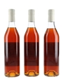 Delamain 1976 Cognac Landed 1979, Bottled 1999 - Trapps Cellars Ltd. 3 x 70cl / 40%