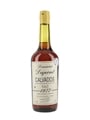 Domaine Dupont 1977 Calvados Bottled 2009 70cl / 45%