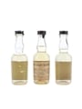 Chartreuse Yellow Bottled 1950s-1960s 3 x 3cl