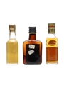3 x Assorted Whisky Miniature 