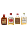 4 x Blended Scotch Whisky Miniature 