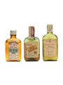 3 x Blended Scotch Whisky Miniature 