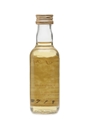 Convalmore 1981 Master Of Malt 5cl / 43%