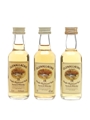 Glenallachie 12 Year Old  3 x 5cl