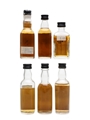 Big T  6 x 4.7cl-5cl