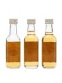 Buchanan Blend  3 x 5cl