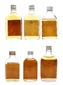 Dewar's White Label 5cl x 6 