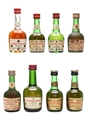 Courvoisier Cognac  8 x 3cl - 5cl
