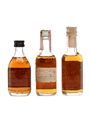 Wild Turkey 8 Year Old & Rare Breed 3 x 5cl
