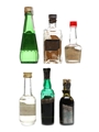 Kummel Wolfschmidt, Bols, Stock 6 x 5cl