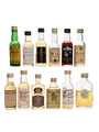 Assorted Blended Scotch Whisky 12 x 5cl