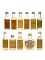 Malts & Blends For Hotels & Venues 11 x 5cl
