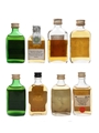 Assorted Blended Scotch Whisky 8 x 5cl