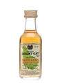 Mount Gay Original Bottled 1980s 5cl / 40%