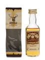 Glencadam 1974 Connoisseurs Choice Bottled 1980s - Gordon & MacPhail 5cl / 40%