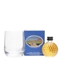 Old St Andrews Golf Ball Miniature & Tumbler 5cl / 40%