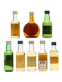 8 x Blended Scotch Whisky Miniature