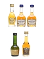 Courvoisier, Martell, Bisquit  5 x 3cl-5cl / 40%