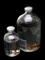 Edible Scorpion & Snake Vodka  7cl & 25cl / 37.5%