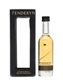 Penderyn Aur Cymru  5cl / 46%