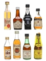 Brandies Of The World Torres, Bertrams, Asbach 8 x 3cl-5cl
