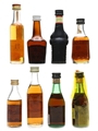 Brandies Of The World Torres, Bertrams, Asbach 8 x 3cl-5cl