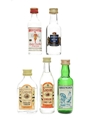 English Gins Beefeater, Gordon's, Greencock, Boodles 5 x 5cl