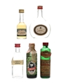 Assorted Spirits Ginebra, Schladerer, Plymouth 5 x 3cl-5cl