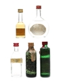 Assorted Spirits Ginebra, Schladerer, Plymouth 5 x 3cl-5cl