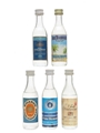 Assorted White Rums Collison, Ian Tomsons, Ricardo, White Diamond 5 x 4.7cl-5cl