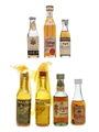 Brandies Of The World Bottled 1970s 7 x 3cl-5cl