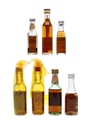 Brandies Of The World Bottled 1970s 7 x 3cl-5cl