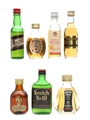 Assorted Blended Scotch Whisky Black Bottle, Dimple, Something Special, Hankey Bannister 3.7cl, 4 x 5cl & 2 x 4.7cl