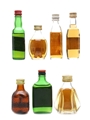 Assorted Blended Scotch Whisky Black Bottle, Dimple, Something Special, Hankey Bannister 3.7cl, 4 x 5cl & 2 x 4.7cl