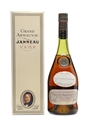 Janneau VSOP Grand Armagnac Bottled 1990s -  WG Edwards & Partners 70cl / 40%