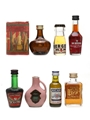 Assorted Liqueurs Aurum, De Kuyper, Dolfi, Ricard 7 x 2cl-5cl