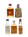 5 x Blended Scotch Whisky Miniature 