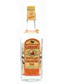 Gordon's Dry Gin Bottled 1970s - Linden, New Jersey 113cl / 45%