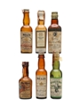 6 x Blended Irish & Australian Whisky Miniature 