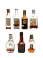 7 x Blended Scotch Whisky Miniature 