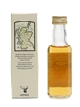 Banff 1974 Connoisseurs Choice Bottled 1980s - Gordon & MacPhail 5cl / 40%