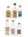 Assorted White Spirits Fuentes, Gordon's, Marine, Sorel & Smirnoff 6 x 3cl-5cl