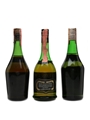 Chatelle Freres, Napoleon Premier Brandy & Ramazzotti Chateau La Victoire Bottled 1960s-1980s 3 x 75cl