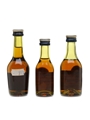 Martell VS & 3 Star  3 x 3-5cl / 40%