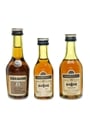 Martell VS & 3 Star  3 x 3-5cl / 40%