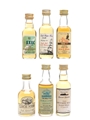 Assorted Single Malt Scotch Whisky Unnamed Distilleries 6 x 5cl