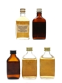 Assorted Blended Scotch Whisky Bottled 1970s - Champion, Old Fisherman, Lambert Brothers, Queen Eleanor, Roderick Dhu 5 x 3.9cl-5cl