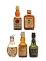 5 x Blended Scotch Whisky Miniatures 