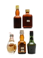 5 x Blended Scotch Whisky Miniatures 